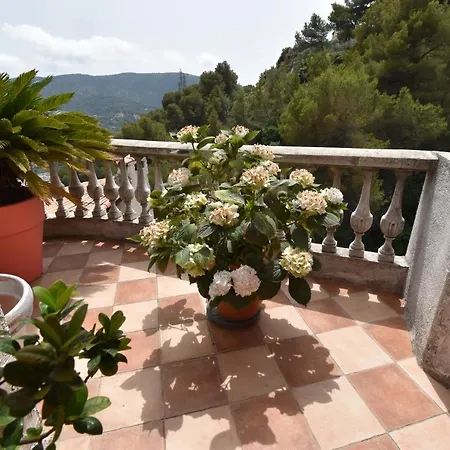 Daire Climatise Et Sa Terrasse Privee En