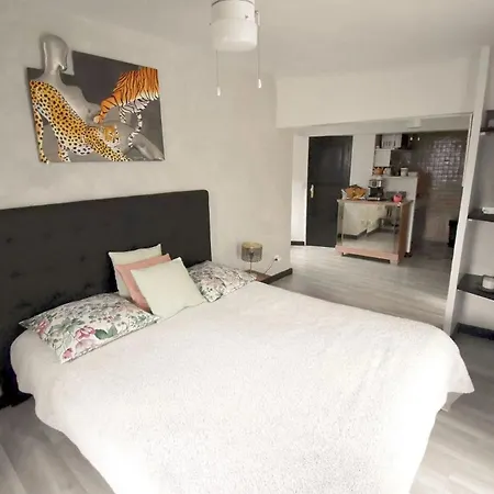 아파트 Climatise Et Sa Terrasse Privee En *