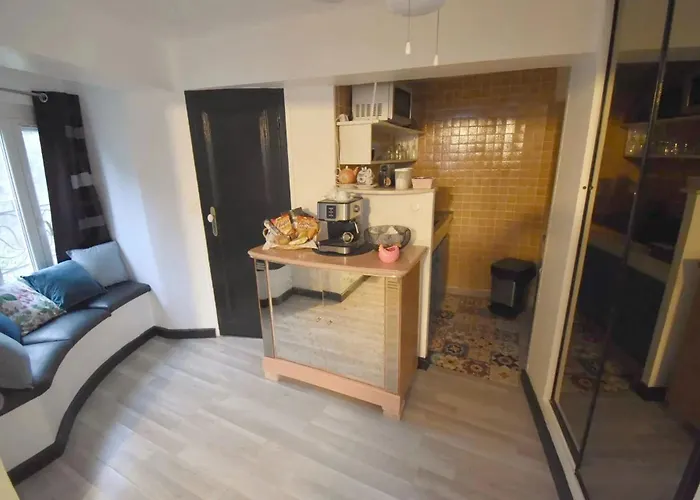 Apartament Climatise Et Sa Terrasse Privee En